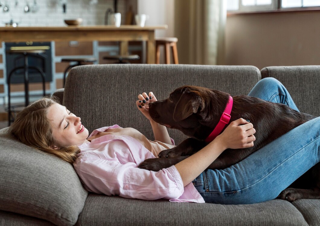 Quels sont les symptômes des engelures chez les chiens ?