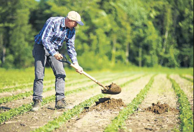 agriculteur